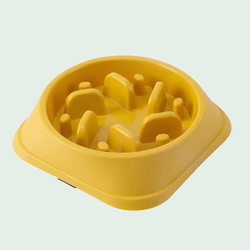 PacePal Slow Feed Bowl